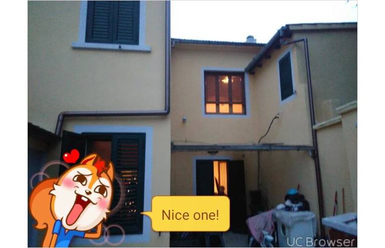 immagine annuncio 1 di 2