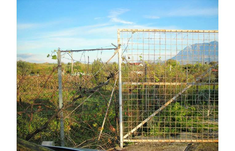 Foto 3 - Altro in Vendita da Privato - Eboli (Salerno)