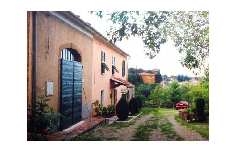 immagine annuncio 5 di 7