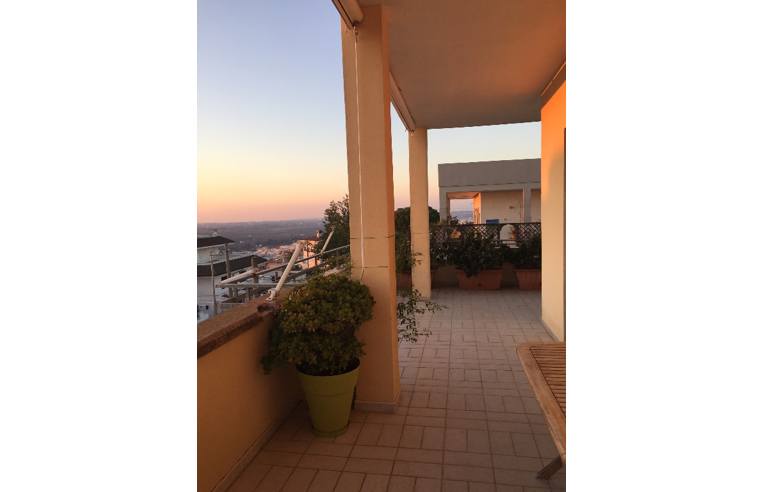Foto 2 - Appartamento in Vendita da Privato - Matino (Lecce)