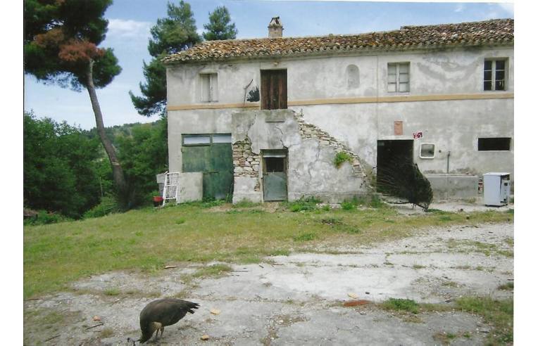 immagine annuncio 4 di 6