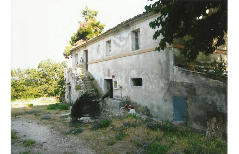 immagine annuncio 2 di 6