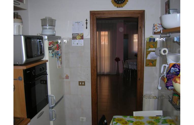immagine annuncio 1 di 7
