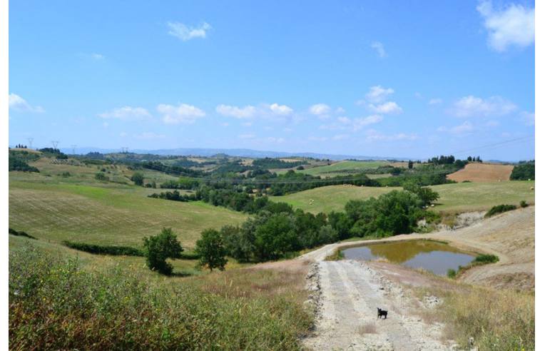 immagine annuncio 4 di 7