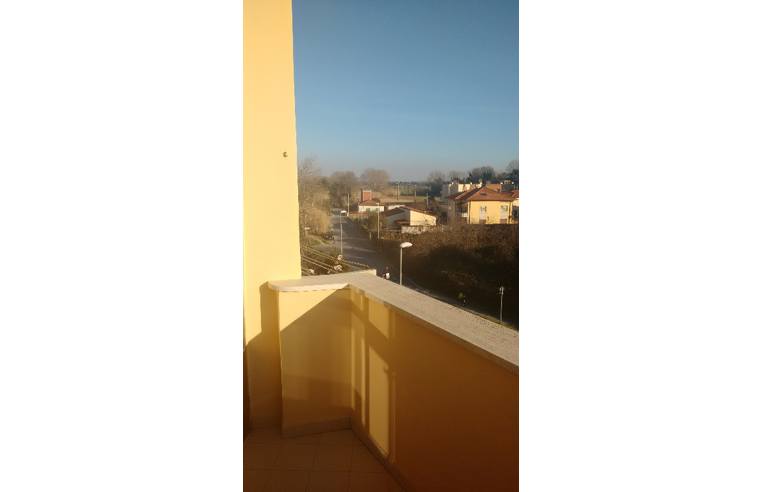 Foto 3 - Appartamento in Vendita da Privato - Pisa (Pisa)