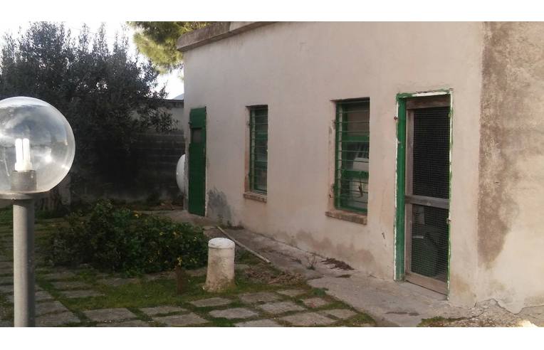 immagine annuncio 3 di 7