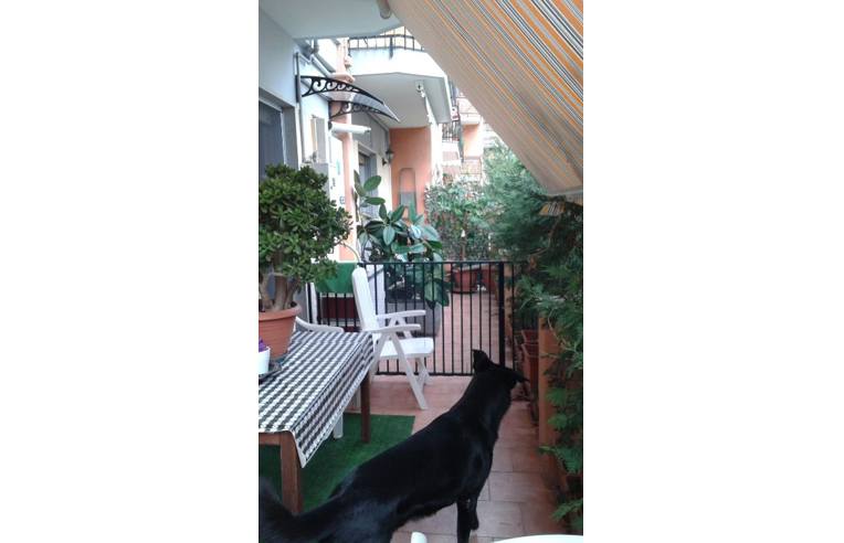 immagine annuncio 6 di 7