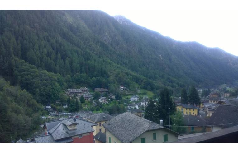 immagine annuncio 3 di 6