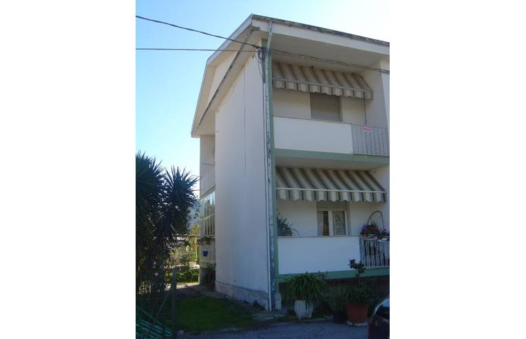 immagine annuncio 1 di 7