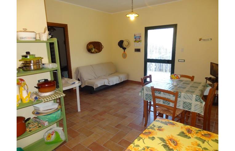 immagine annuncio 3 di 6