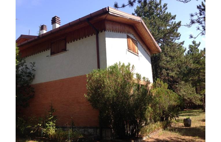 immagine annuncio 6 di 7