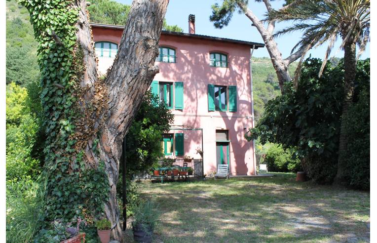 immagine annuncio 2 di 7