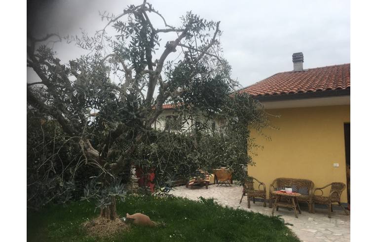 Foto 3 - Villetta a schiera in Vendita da Privato - Fauglia (Pisa)
