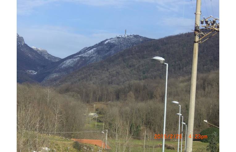 immagine annuncio 4 di 7