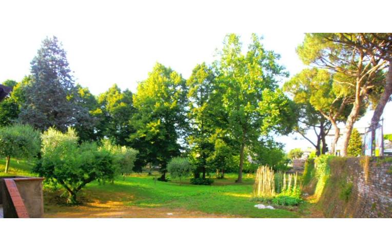 immagine annuncio 6 di 7