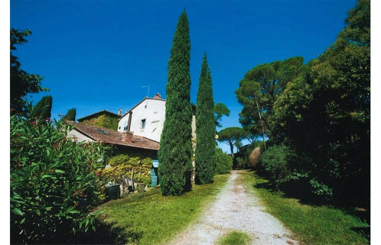 immagine annuncio 4 di 7