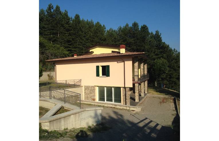 immagine annuncio 3 di 7