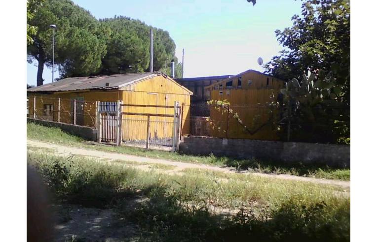 immagine annuncio 1 di 3