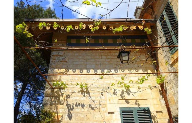 immagine annuncio 4 di 7