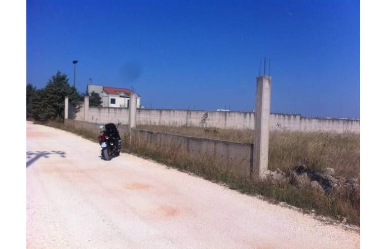 immagine annuncio 2 di 7