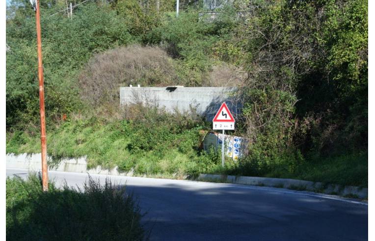 immagine annuncio 5 di 6