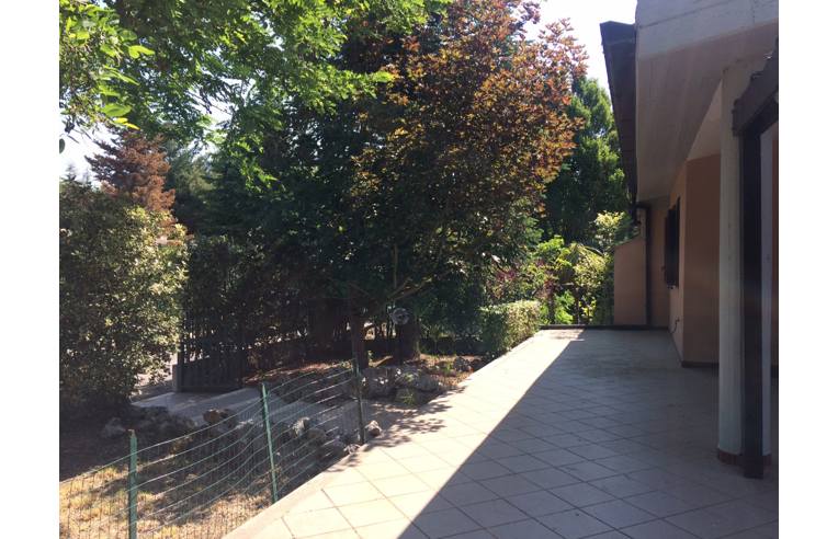 immagine annuncio 3 di 7