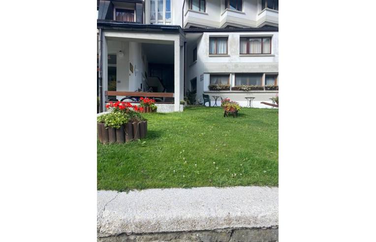 immagine annuncio 1 di 7