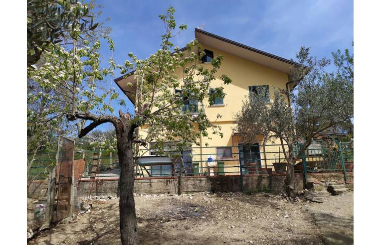 immagine annuncio 4 di 7
