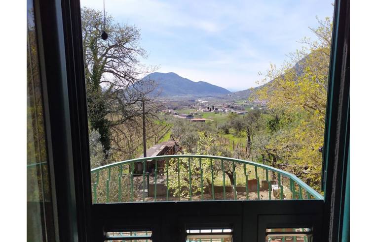 immagine annuncio 2 di 7