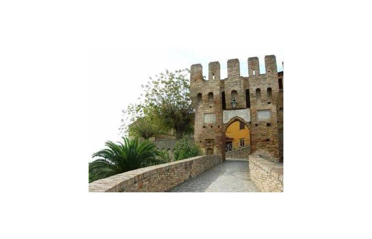 immagine annuncio 1 di 7