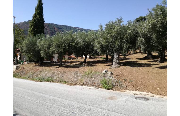 Foto 2 - Terreno Agricolo/Coltura in Vendita da Privato - Lamezia Terme, Frazione Sambiase