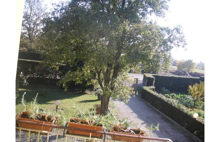 Foto 8 - Casa indipendente in Vendita da Privato - Bientina (Pisa)