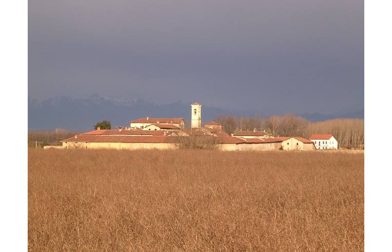 immagine annuncio 1 di 7