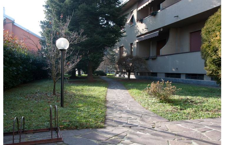 immagine annuncio 4 di 7