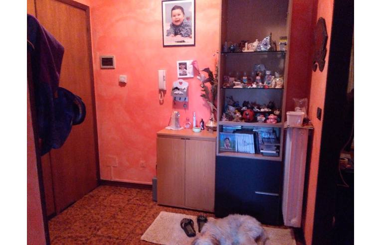 immagine annuncio 3 di 7