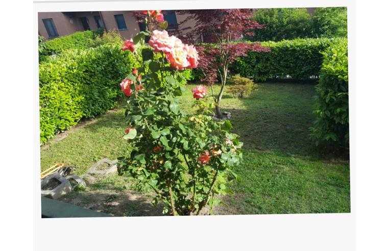 immagine annuncio 5 di 7