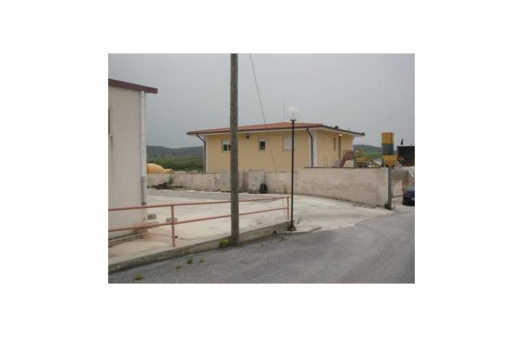 immagine annuncio 4 di 6