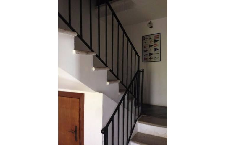 immagine annuncio 4 di 6