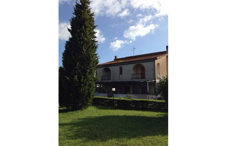 immagine annuncio 1 di 6