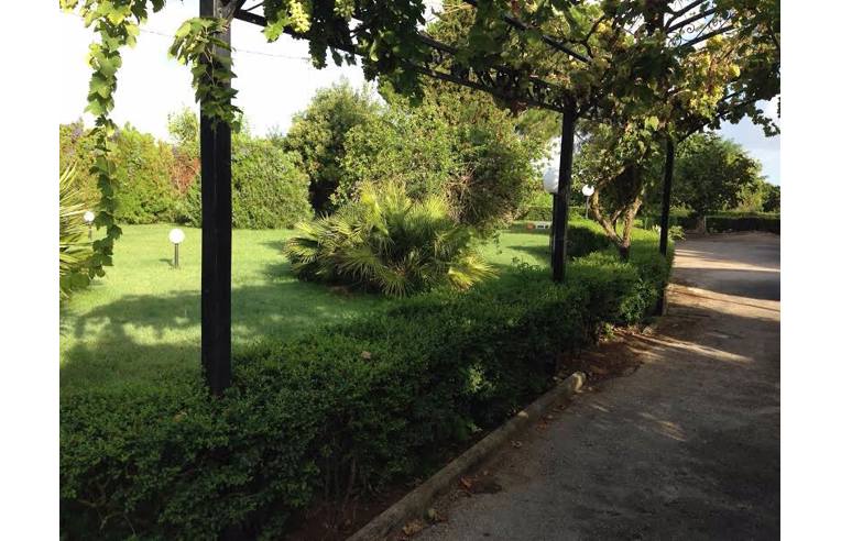 immagine annuncio 5 di 6