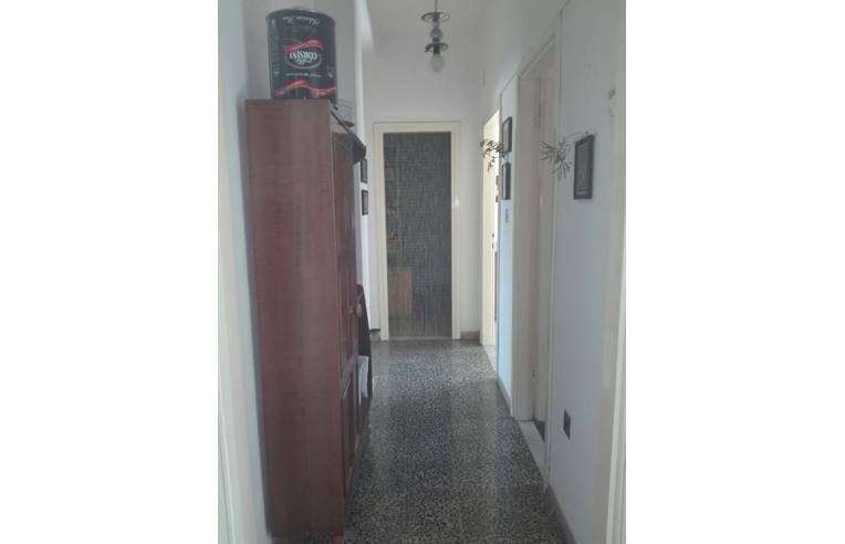 Foto 6 - Appartamento in Vendita da Privato - Grosseto, Frazione Centro città