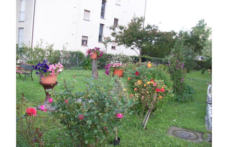 Foto 4 - Appartamento in Vendita da Privato - Pisa, Zona Pisanova