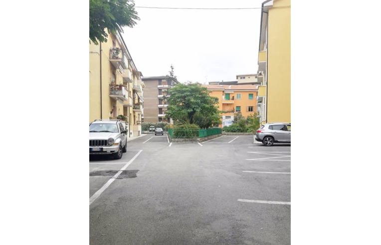 immagine annuncio 4 di 7