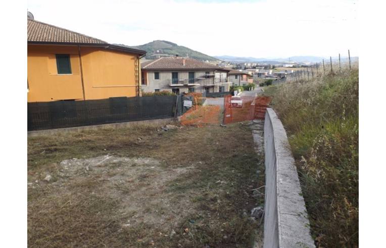 immagine annuncio 6 di 7