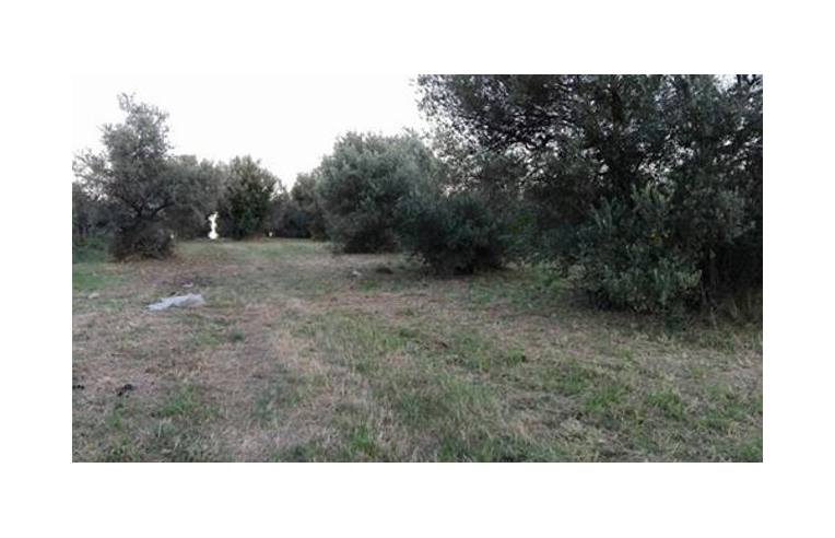 immagine annuncio 2 di 6