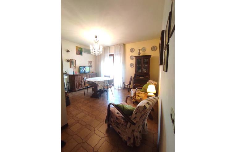 immagine annuncio 5 di 7