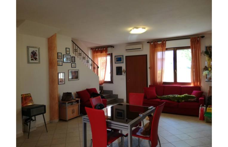 immagine annuncio 3 di 7