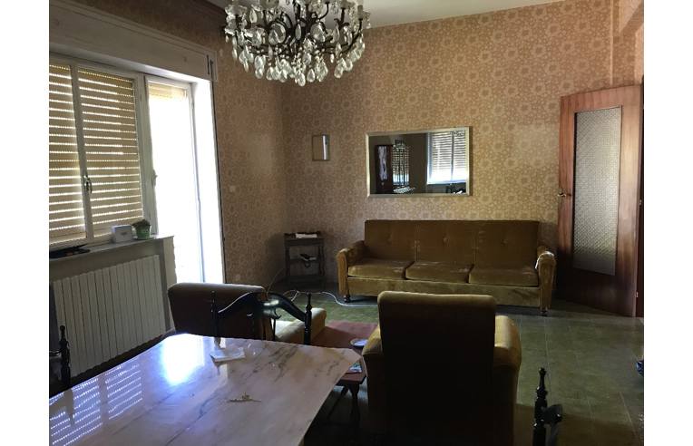 immagine annuncio 3 di 7