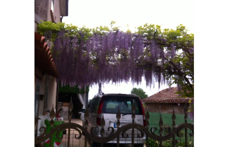 immagine annuncio 2 di 7