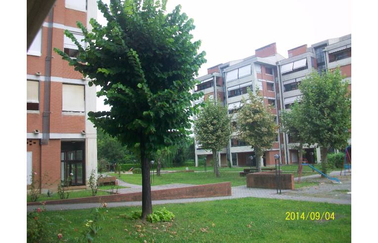 immagine annuncio 5 di 7